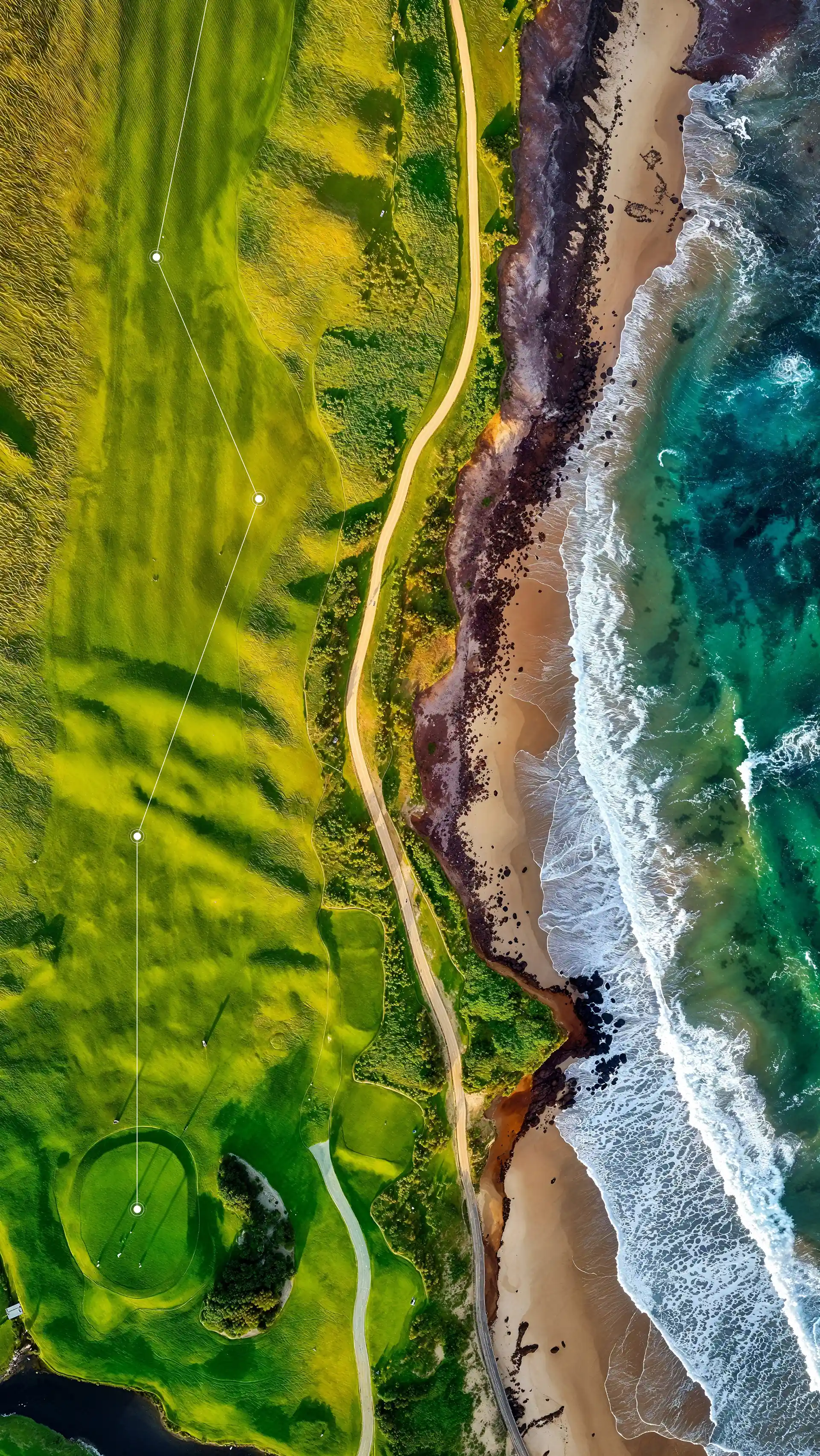 The Golf Everything App